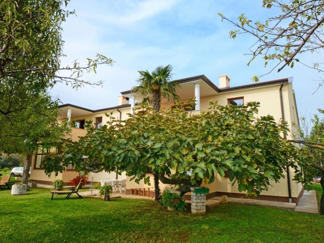 Lucilla-2